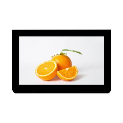 China 11.6 Inch IPS LCD Display Module 700 Brightness LCD 1920x1080 Display for sale