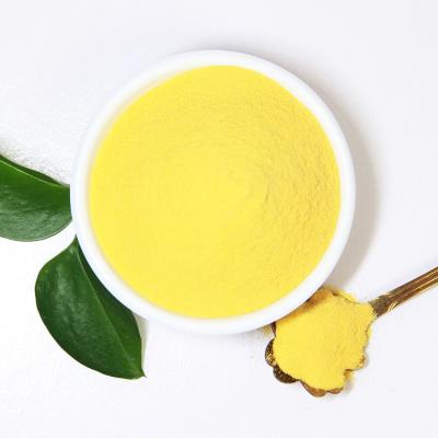 China Instant Health Food Concentrate Mango Juice Powder 100% Natural Spray Dyed Dry Mango Powder for sale