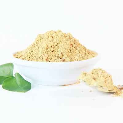 China Health Food Wholesale Organic Milk Thistle Seeds Extract Powder Silybum Marianum Extract Powder for sale