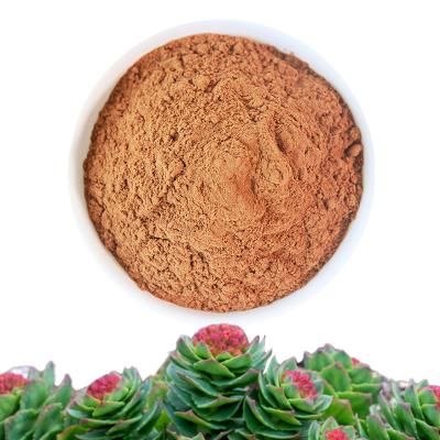 China Food Rhodiola Rosea Powder Extract 3% Rhodiola Crenulata Root Extract Powder for sale