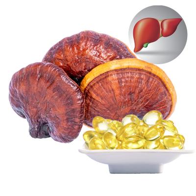 China Others Ganoderma Lucidum Reishi Spore Oil Softgel Capsule for sale