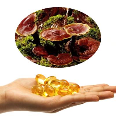 China immune & Anti Fatigue Reishi Mushroom Spore Oil Capsules Ganoderma Lucidum Spore Oil Softgel for sale