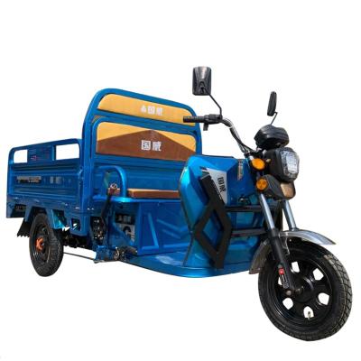 China Cargo china supply farm use 60V 48V 800W electric three-wheeler tricycle motorcycle for cargo charging not zongshen huaihai baodiao futian for sale