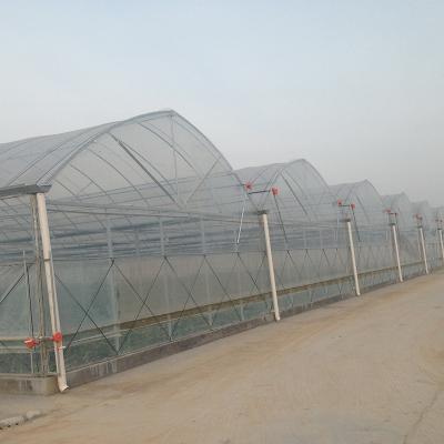 China Vegetable Flowers LITAI Multi-span Agricultural Durable Plastic Fruit Greenhouses Price 2021 for sale