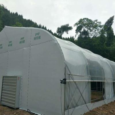 China New Product Low Cost Single Span Easily Assembled Commercial Lightweight Homestay Greenhouse With Hydroponic Growing Systems for sale