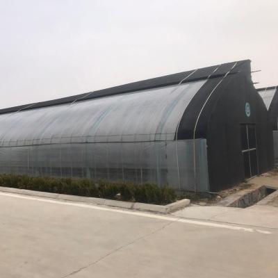 China Stable professional long life span structure pe film solar greenhouse for sale for sale