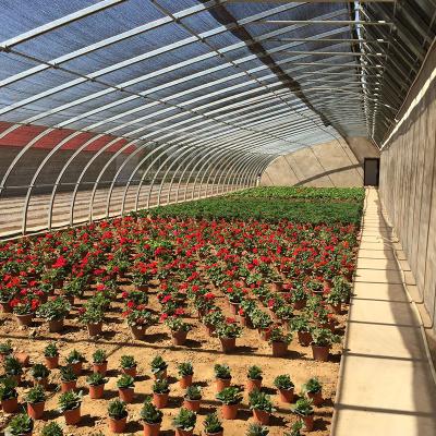 China Fruit Vegetable Flowers Professional Low Cost In-solar Greenhouses For Flower Planting for sale