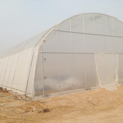 China China vegetable supplier commercial single-span flower fruit agricultural greenhouses for sale