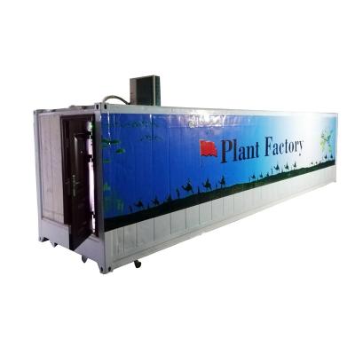 China Temperature Climate Control Factory Supply 40ft Vegetables Grow Greenhouse Farm Container for sale