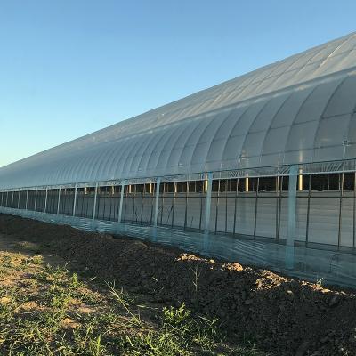 China Vegetable Professional Large Fruit Garden Flower Glass Greenhouse For Strawberry Growing for sale