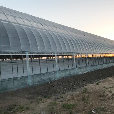 China Flower Vegetable Fruit Garden Modern Film Greenhouses With Hydroponics System for sale