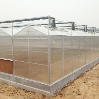 China Modern appearance cheap multi-span hydrophonic greenhouse commercial greenhouse supply for sale