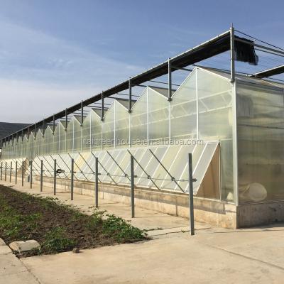 China Modern appearance high quality commercial polycarbonate greenhouse for sale for sale