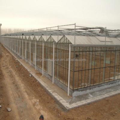 China Stable Structure 6mm / 8mm / 10mm Polycarbonate Sheet Covered Commercial / Agricultural Greenhouse for sale