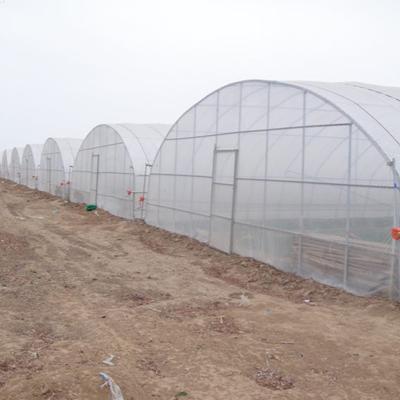 China Single Span Flowers And Fruits Vegetables Pe Plastic Film Mini Span Greenhouse For Vegetable for sale