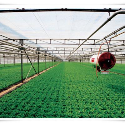 China High Efficiency NFT Hydroponic System For Greenhouse for sale