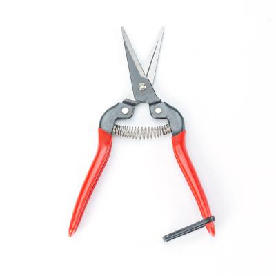 China Anti-Slip Handle Made In China Professional Blade Pruning Lopper Telescopic Garden Saw Ratchet Shears for sale