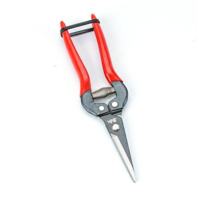 China Anti-skid Garden Plum Shear Electric Handle Shears Garden Fruit Tree Pruning Machinery Tree Shears for sale