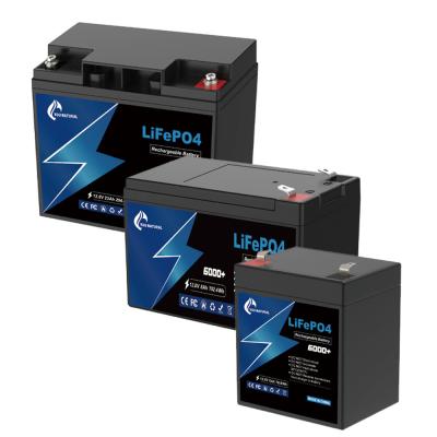 Cina Batteria 6ah 8ah 23ah 295Wh del fosfato del ferro dello ione del litio della batteria del carretto di golf 12V LiFePo4 in vendita