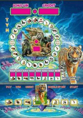 China High Profit High Returns Uganda/Zambia/Kenya Mario Lottery DICE Coin Operated Casino Game Slot Machine/Jackpot Coin Operated Fruit for sale