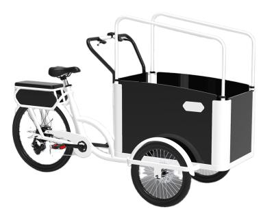 China 2021 New Designed Electric Passenger Cargo Bike 3 Wheels Electric Kids Bike for sale