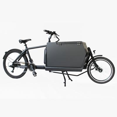 China Steel electric tricycle cargo bike with rear 250W motor for sale for sale