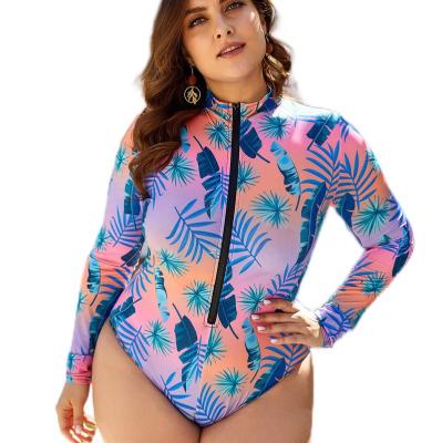 China Plus Size Plus Size Zippered Up Charming Purple Floral Print Sporty Long Sleeve Conservative Triangle One Piece Bathing Swimwear & Beachwear for sale