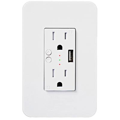 China Commercial Smart Wifi Wall Power Sockets Plug With Tuya Smart APP 2 USB Socket Life Remote Control Work Anywhere With Alexa Google Home for sale