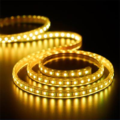 China Decoration Light High Voltage Flexible Waterproof Rope Lights SMD 5050 Led Strip Light PVC Tube Integrated Strip Light for sale