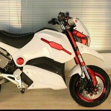 Chine Electric Motorbike For Europe Market High Speed With 3000W Brushless Motor à vendre