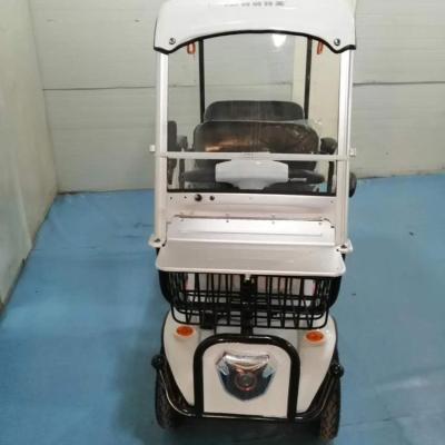 China 650W Four Wheels Passenger Auto Rickshaw Electric Tricycle Mini Bus for sale