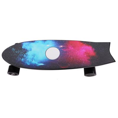 China Dual Hub Motor Performance Outdoor Canadian Wooden Maple Skateboard Youth Street Fish Electric Board for sale