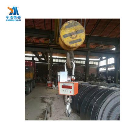 China Weighing Data Shown On Heavy Duty Hanging Body Crane Scale Weight 300kg /100g Hanging Hook Measures Portable for sale