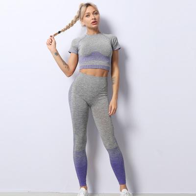 China Breathable Seamless Yoga Wear Suit Knitted Elastic Fitness Sports Yoga Short Sleeve Hip-lifting Wear for sale