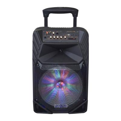 China Stylish 2021 FM Radio FM Speaker Factory Wholesale OEM Portable Wireless Party Sound Speaker Nice BT Audio for sale