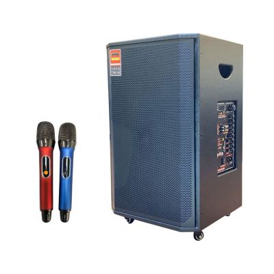 China 12 Inch Power Sound System Home Theater Trolley Speaker Blue Tooth Speaker for sale