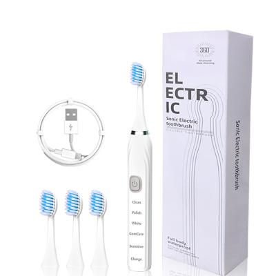 China OEM Washable Ultrasonic Sonic Rechargeable Tooth Electronic Whitening Electric Toothbrush Powerful Clean Powerful Charging for sale