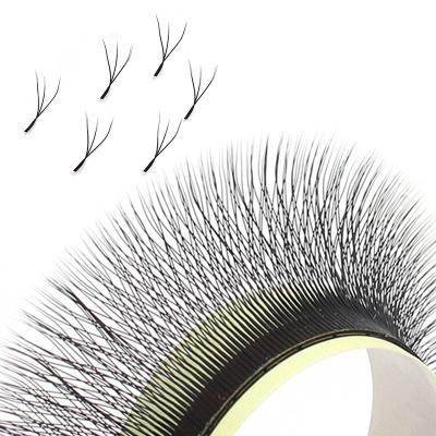 China Full Volume Wholesale W Lash W Clover Eyelash Extensions High Quality Private Label for sale