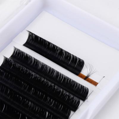 China Full Volume 22MM Lash Tray Easy Fan Mink Lash Matt Black Blooming Eyelash Extension for sale