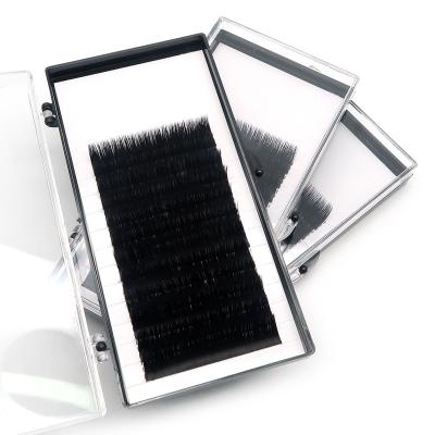 China Camellia Extension Foil Back Easy Fan Eyelash Extensions Full Volume Private Label Eyelash Supplier for sale