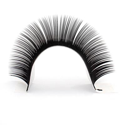 China OEM Private Label Natural Premium Eyelash Extension Accessories Long Fans Lashes Eyelash Extension for sale