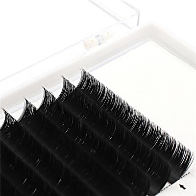 China Bulk Natural Fast Delivery Private Label Long Volume Easy Fanning Eyelash Extensions for sale