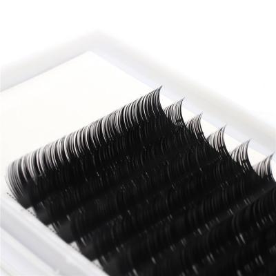 China Manufacturer Supply Natural Long Volume Eyelash D Double Density Curl Wicks For Christmas Day Silk Eyelash Extension Individual Wholesale for sale