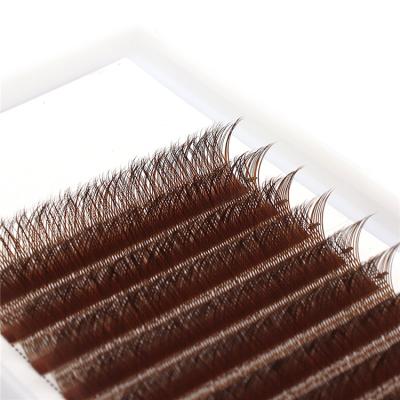 China Blooming Eyelash Extension 0.05d Long Vendor 3d Eyelash Extensions Natural Eyelashes Extension for sale