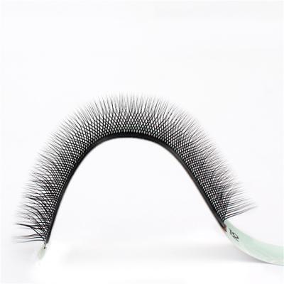 China Long C D Dual Density Curl Eyelash Extension Mix Ellipse Length Synthetic Vegan Eyelash Extension Natural Hot Flat Wick Private Label for sale