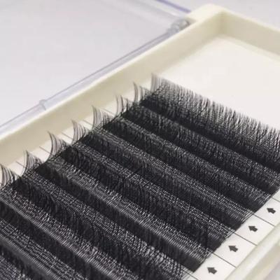 China Full Volume Wholesale C/D Loop W Shape Individual Eyelash Extension Custom Fan Volume New Style W Eyelash Extension for sale