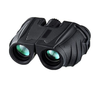 China BAK4 Factory Direct Sales Of High Quality BAK4 Microscope Digital Binoculars 10x12 for sale