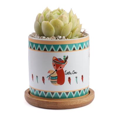 China Creative Home Hot Sale Cement Tree Root Carving Mini Pastoral Flowerpot Succulents Basin Reusable Flower Planter Stump Flower Pot for sale