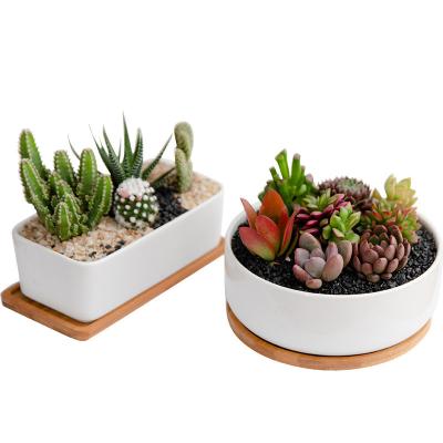 China Home Custom Design Cheap Indoor Factory Wholesale Ceramic Pots for sale