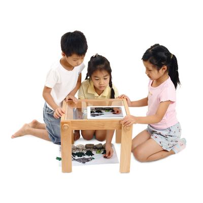 China Eco-friendly Materials Science Kit And New Best Box Learning Educational Gift Optical Toy for sale